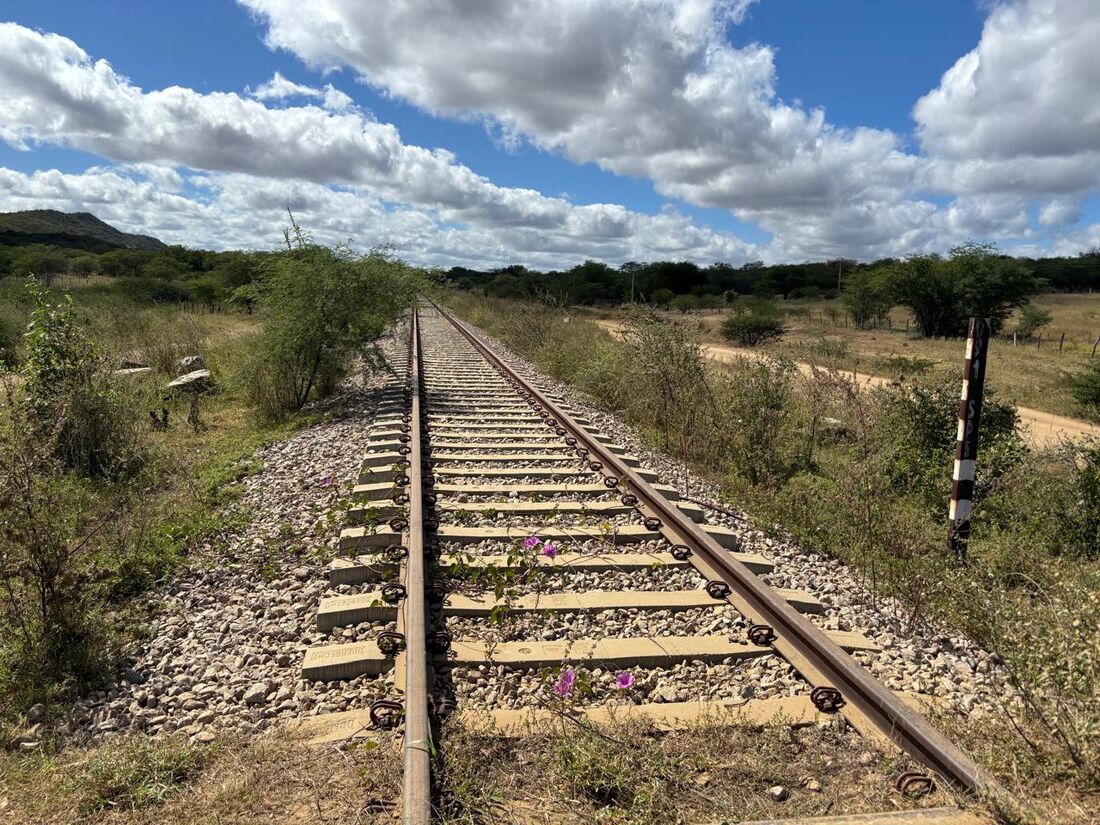 Transnordestina: dúvida sobre viabilidade leva TCU a manter freio na obra em PE